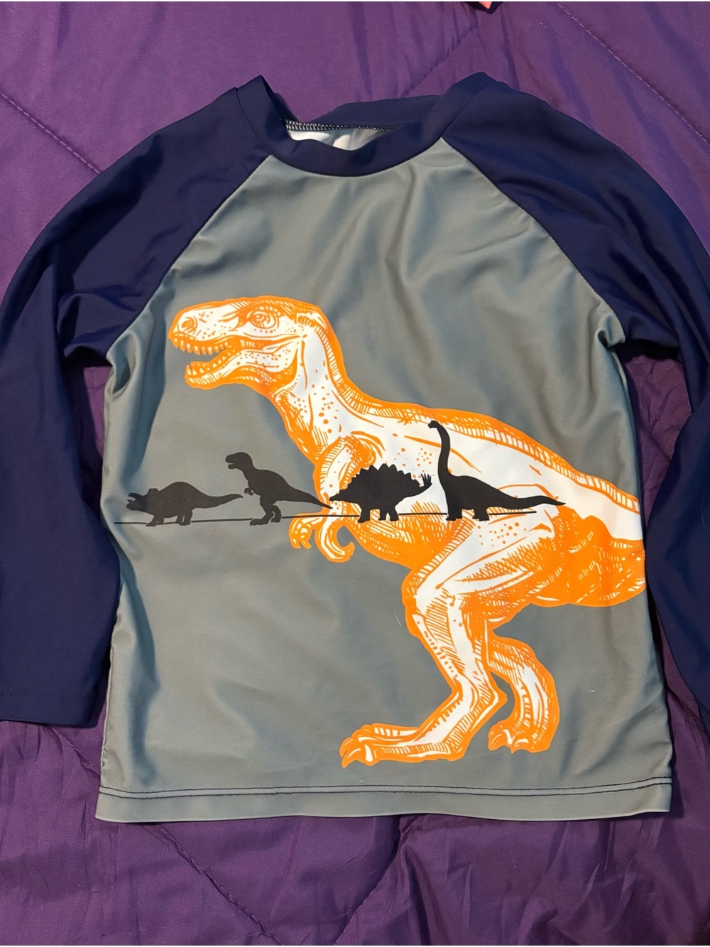 Boys' Long Sleeve Dinosaur Tee - Navy Sleeves with Gray & Orange Dino